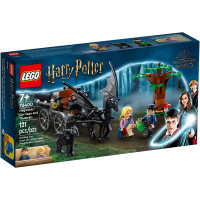 LEGO Harry Potter "Карета и фестралы Хогвартса" 76400